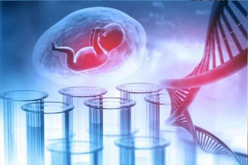 南京怀孕期间怎么检测是谁的孩子,南京产前亲子鉴定收费多少